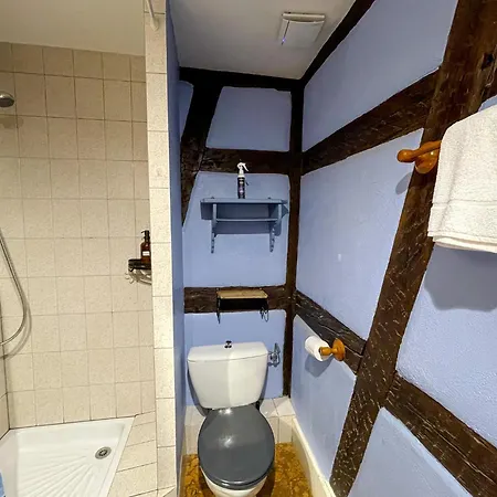 公寓 La Maison Bleue - Historic House In The Heart Of