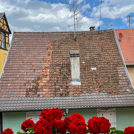 La Maison Bleue - Historic House In The Heart Of Appartement Riquewihr