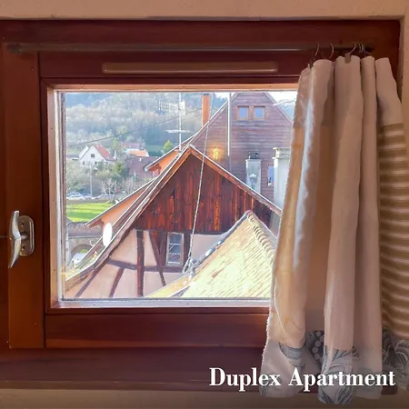 La Maison Bleue - Historic House In The Heart Of 公寓 利克维