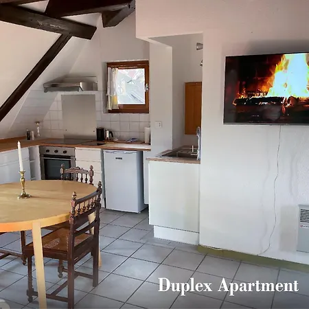 La Maison Bleue - Historic House In The Heart Of