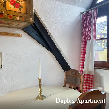 公寓 La Maison Bleue - Historic House In The Heart Of