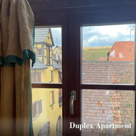 Apartment La Maison Bleue - Historic House In The Heart Of