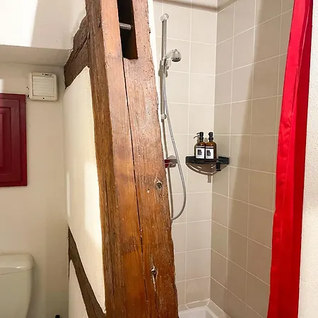 Apartment La Maison Bleue - Historic House In The Heart Of *