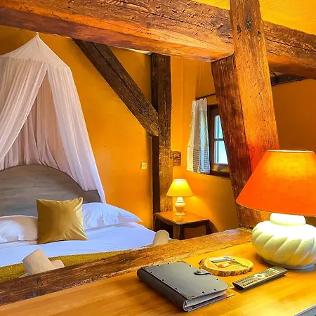 La Maison Bleue - Historic House In The Heart Of Apartment