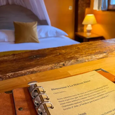 Apartament La Maison Bleue - Historic House In The Heart Of *