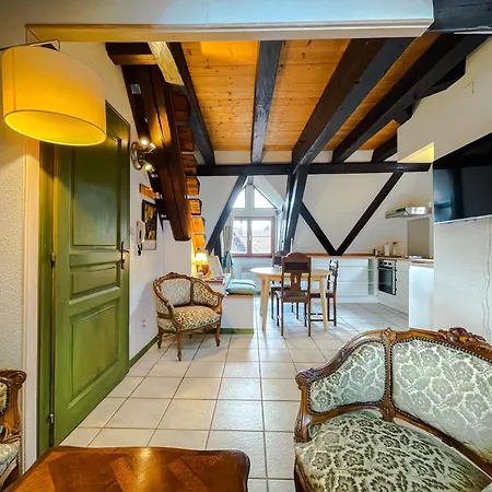La Maison Bleue - Historic House In The Heart Of Apartment