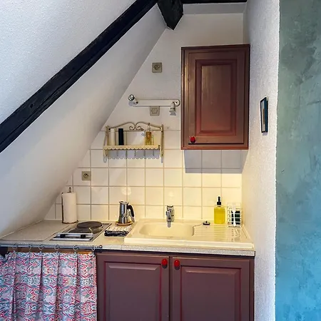 La Maison Bleue - Historic House In The Heart Of Riquewihr