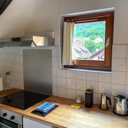 La Maison Bleue - Historic House In The Heart Of Apartament *