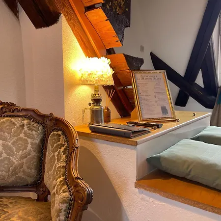 公寓 La Maison Bleue - Historic House In The Heart Of 利克维