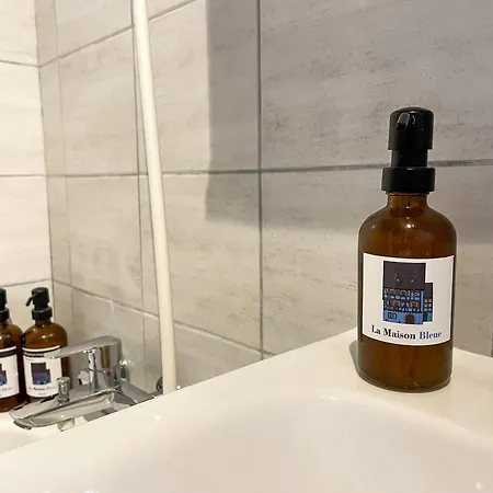 La Maison Bleue - Historic House In The Heart Of