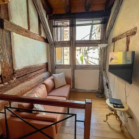 Apartment La Maison Bleue - Historic House In The Heart Of *
