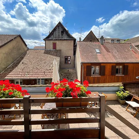 La Maison Bleue - Historic House In The Heart Of Riquewihr