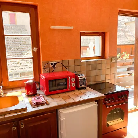 La Maison Bleue - Historic House In The Heart Of * Riquewihr