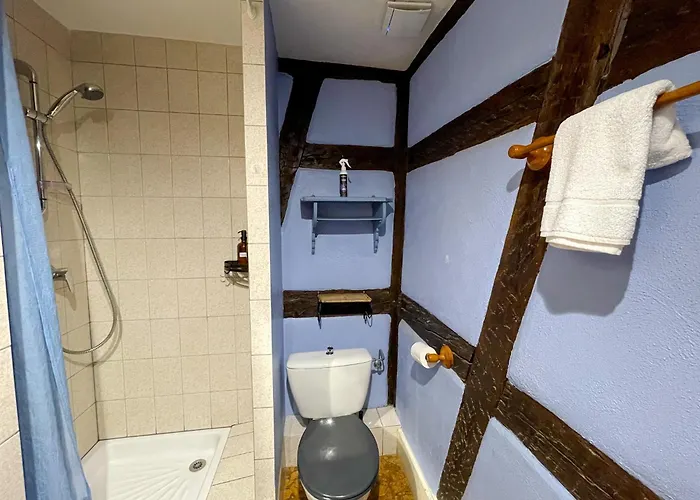 Appartement La Maison Bleue - Historic House In The Heart Of