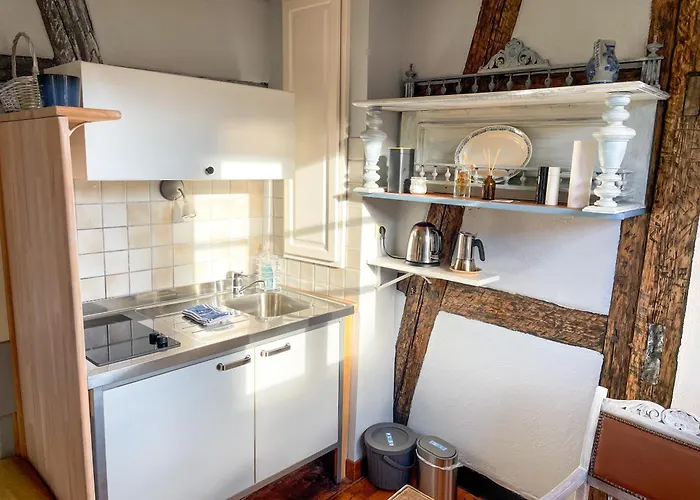 La Maison Bleue - Historic House In The Heart Of Riquewihr