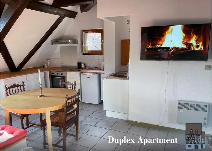 La Maison Bleue - Historic House In The Heart Of