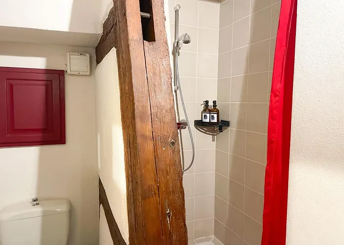 Appartement La Maison Bleue - Historic House In The Heart Of *