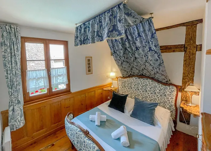 La Maison Bleue - Historic House In The Heart Of