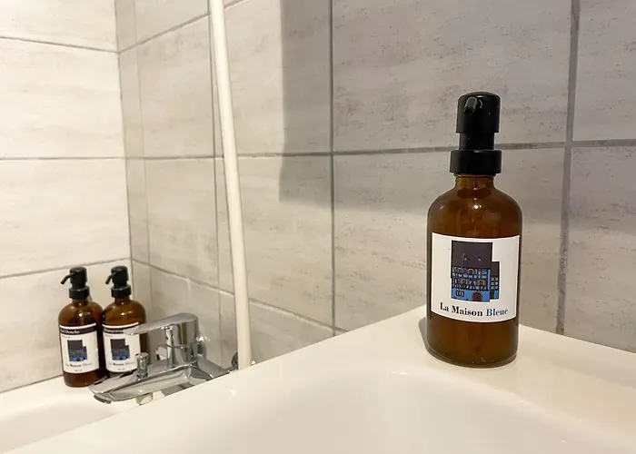 La Maison Bleue - Historic House In The Heart Of