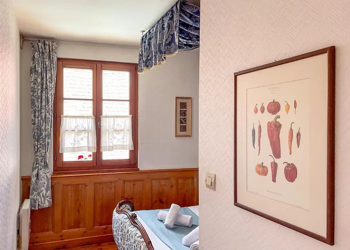 Appartement La Maison Bleue - Historic House In The Heart Of