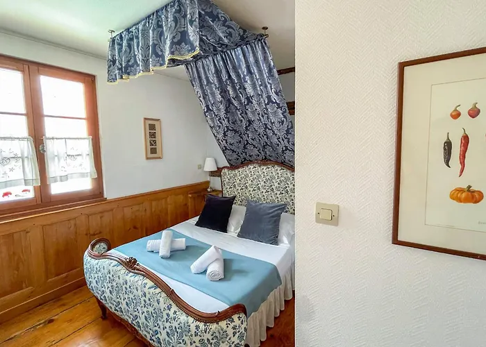 Appartement La Maison Bleue - Historic House In The Heart Of *