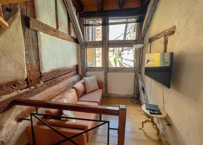 Appartement La Maison Bleue - Historic House In The Heart Of *
