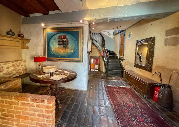 La Maison Bleue - Historic House In The Heart Of *